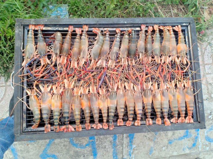 Dịch vụ nấu tiệc tại nhà Thủ Đức - Dĩ An - Quận 2